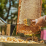 Raw Wisconsin Honey