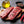 Bison BBQ Pack