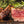 Grand Slam Pack - Fill Your Freezer