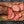 Bison Whole