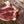 Bison Organs Pack