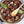 Bison Liver