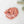 Bison Organs Pack