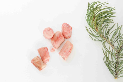 Bison Bone Marrow