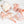 Soup Bone Combo Pack | Fresh