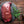Beef Liver