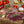 Rocky Mountain Elk New York Strip Steak