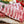 Pork Spare Ribs