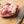 Goat Heart, 4 oz