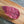 Bison Petite Steak Pack