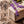 Essential Oil Bison Soap