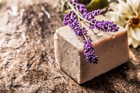 Essential Oil Bison Soap