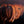 Rocky Mountain Elk Trim