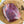 Bison Sirloin Tip Roast