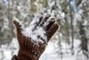 Bison Fleece Gloves