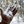 Bison Fleece Gloves